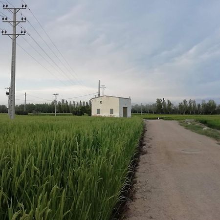 Апартаменти Gegant De Ferro Сан-Жауме-де-Енвежа Екстер'єр фото